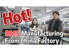 リチウムイオン電池管理システム (BMS) 中国市場